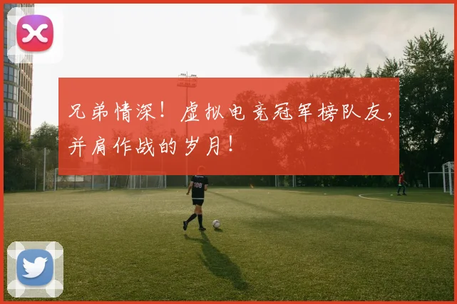 兄弟情深！虚拟电竞冠军榜队友，并肩作战的岁月！