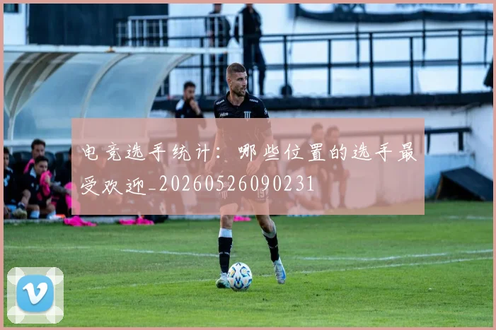 电竞选手统计:哪些位置的选手最受欢迎_20260526090231