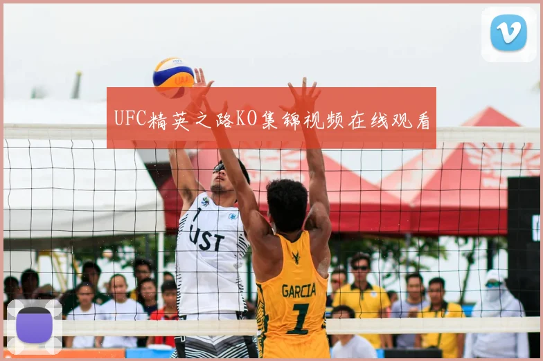 UFC精英之路KO集锦视频在线观看